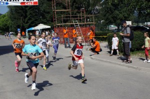 Litijski tek 2013